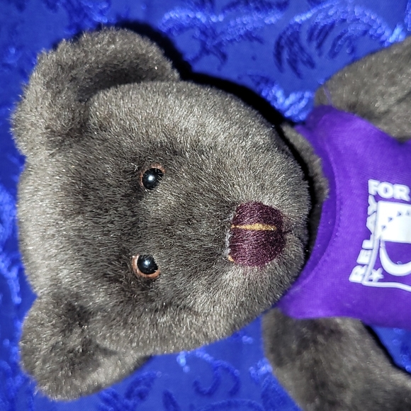 1998-1999 ACS Relay For Life "Mr. Ree" (mystery) Teddy Bear VTG Plush Logo Bear - Picture 10 of 17